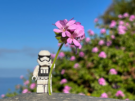 September 10, 2022 - IMG_0636