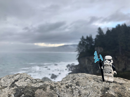 December 1, 2018 - IMG_1104