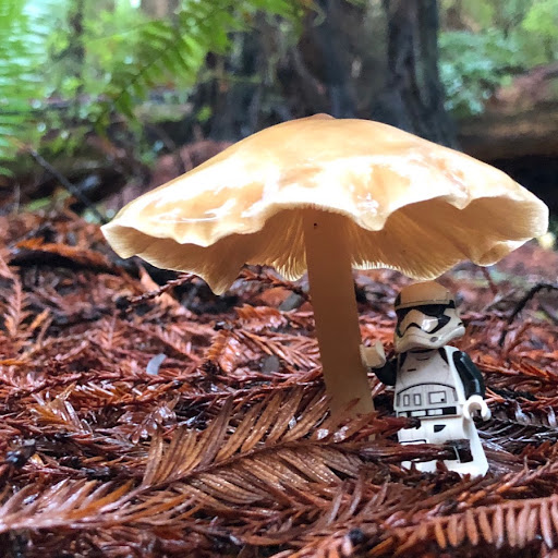 December 2, 2018 - IMG_1125