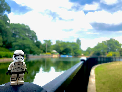 May 31, 2019 - IMG_1726