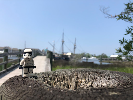 June 3, 2019 - IMG_1787