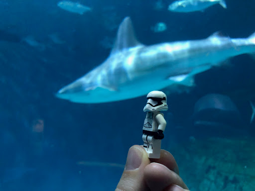 June 3, 2019 - IMG_1795