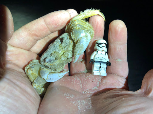 June 4, 2019 - IMG_1801