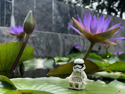 September 21, 2019 - IMG_2710