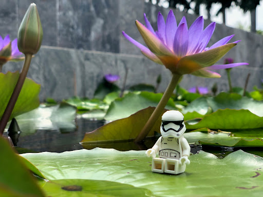 September 21, 2019 - IMG_2711