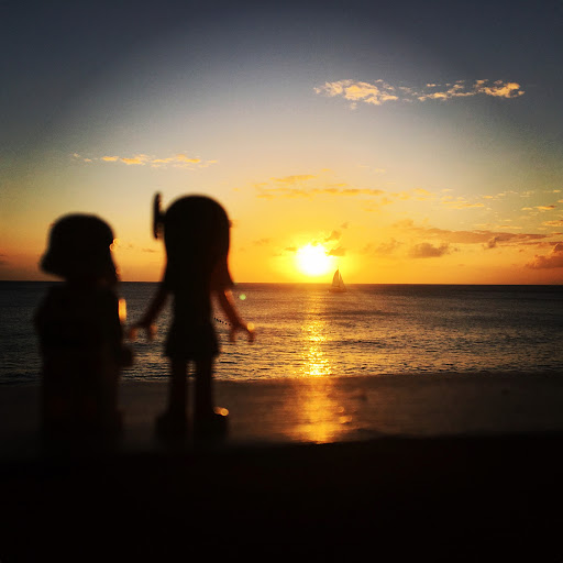 March 24, 2016 - IMG_3748