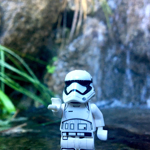 May 1, 2016 - IMG_4050