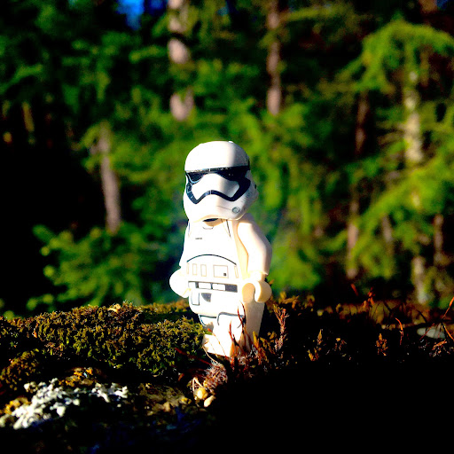 May 1, 2016 - IMG_4099