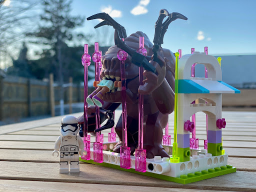 March 25, 2020 - IMG_4161