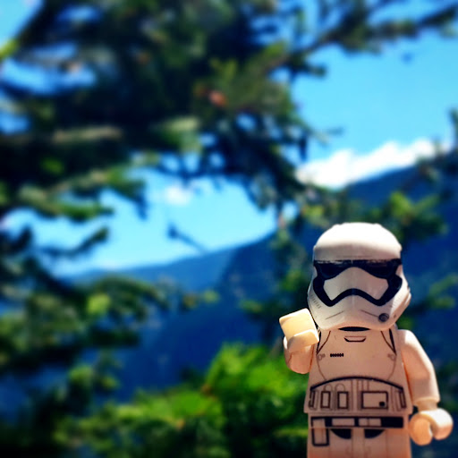 June 21, 2016 - IMG_4470