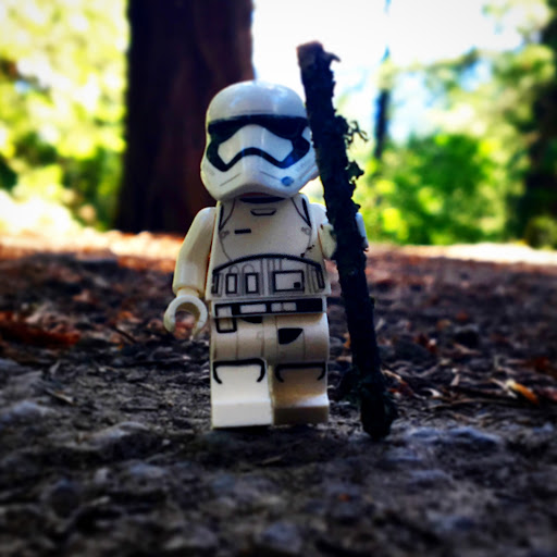 June 21, 2016 - IMG_4471