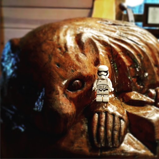 June 25, 2016 - IMG_4550