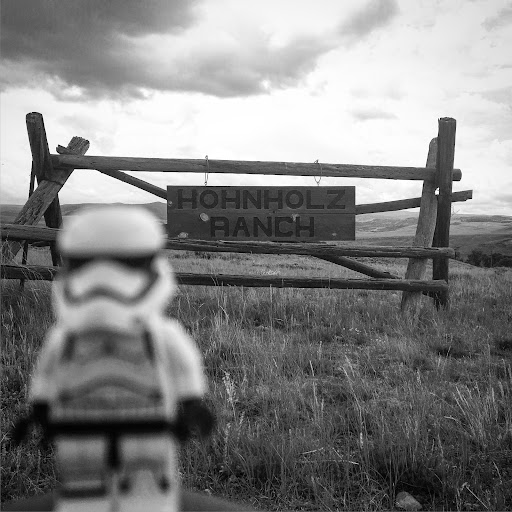 July 1, 2016 - IMG_4683