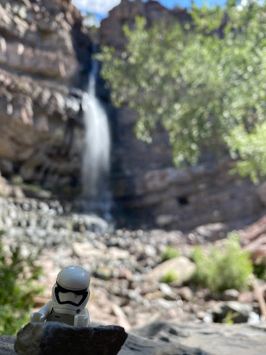 July 8, 2020 - IMG_4686