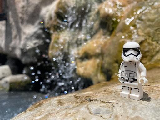 July 13, 2020 - IMG_4807