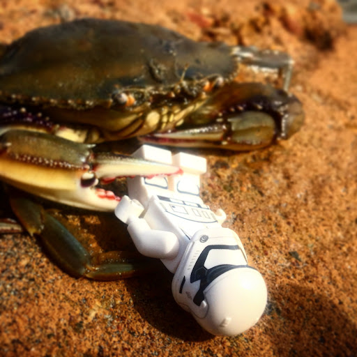 August 2, 2016 - IMG_5095