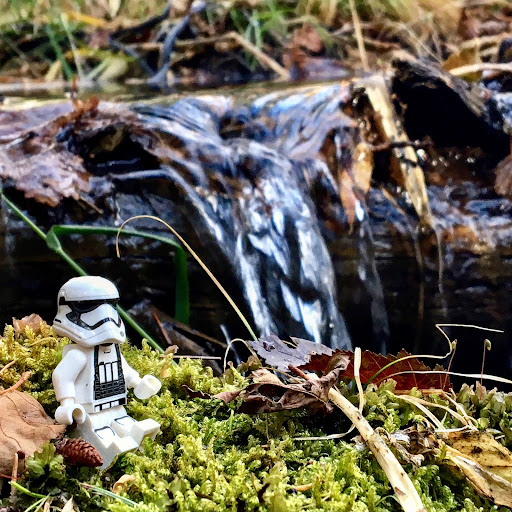 October 8, 2016 - IMG_5763