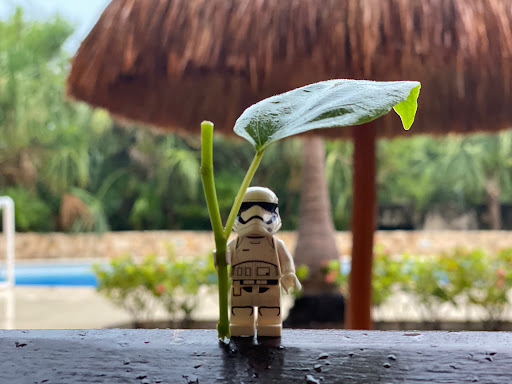 June 15, 2021 - IMG_6314