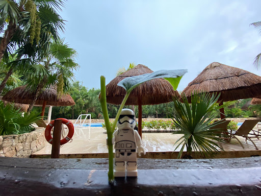 June 15, 2021 - IMG_6317