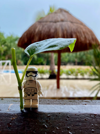 June 15, 2021 - IMG_6318