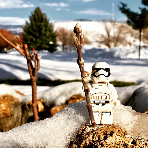 December 9, 2016 - IMG_6477