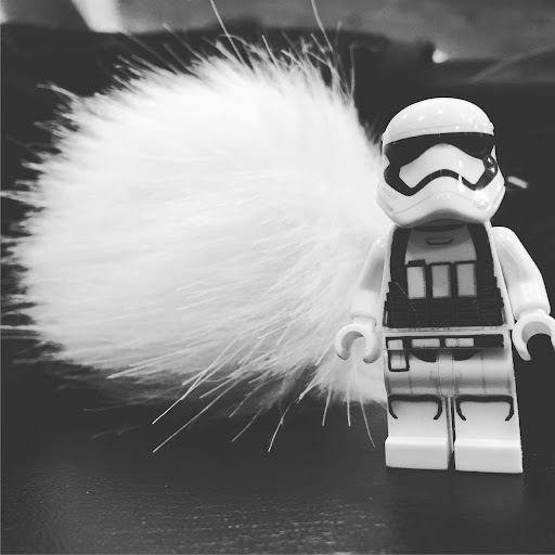 January 15, 2017 - IMG_6859