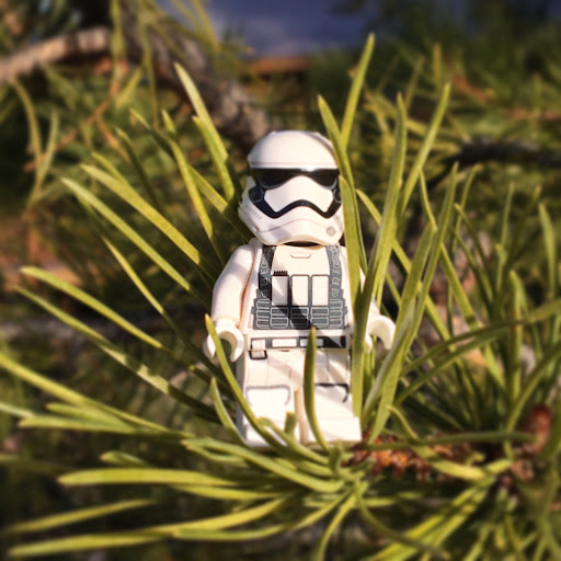 March 27, 2017 - IMG_7635