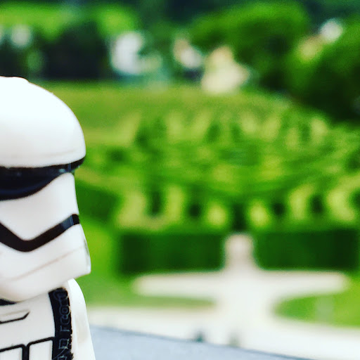 June 9, 2017 - IMG_8253