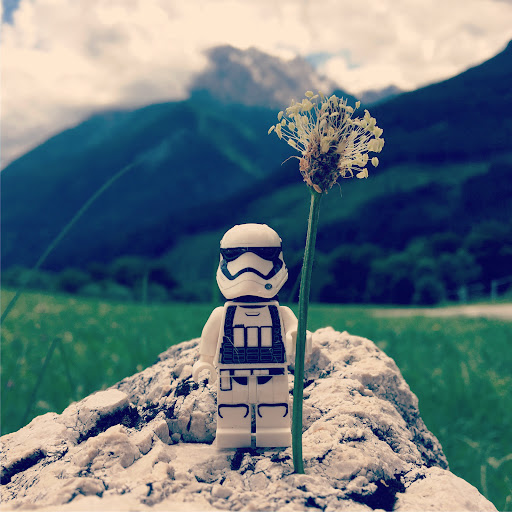 June 10, 2017 - IMG_8474