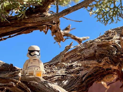 May 27, 2022 - IMG_9419